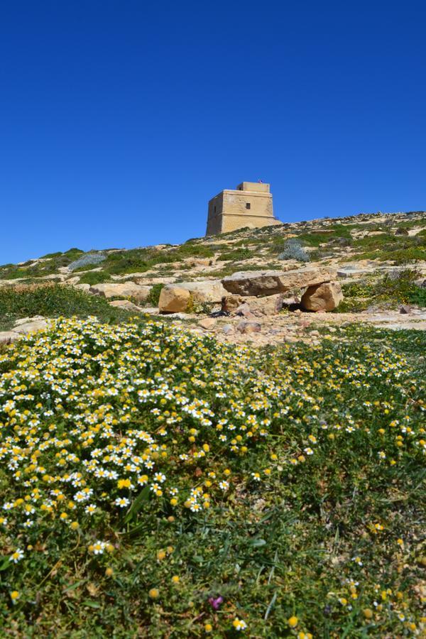 Taljola B&B Għarb Екстериор снимка